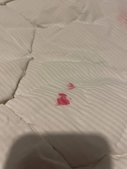 Net A Sec, Pressing à Langon