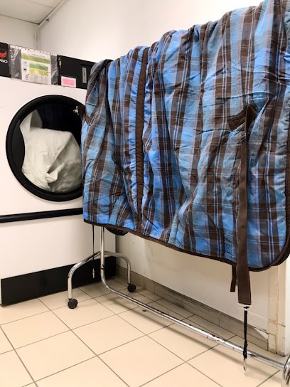 Biba Pressing, Pressing à Saint-Gély-du-Fesc