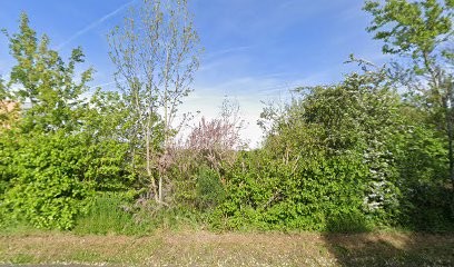 Pressing Oceanis, Pressing à Saint-Gilles-Croix-de-Vie