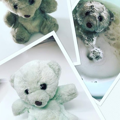 La Belle Etoile, Pressing à Gilly-sur-Isère