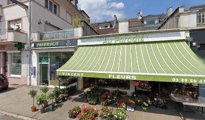 Pressing Au Fil De L'eau, Pressing à Saint-Dié-des-Vosges