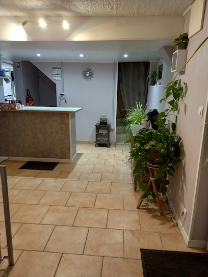 LE PETIT PRESSING D ANNIE, Pressing à Thouars