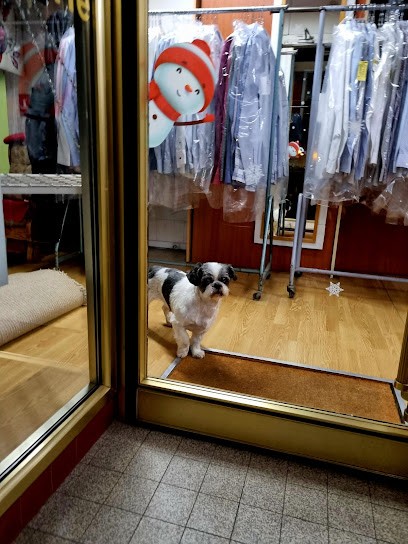 Eurl Pressing D'eschau, Pressing à Eschau