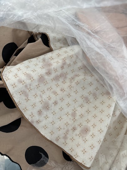 Pressing Blanc Bleu, Pressing à Saint-Paul-lès-Dax