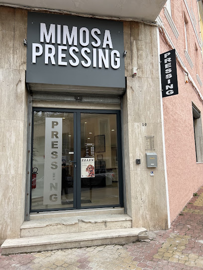 Mimosa Pressing, Pressing à Port-de-Bouc