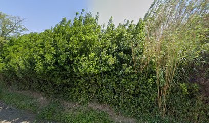 Riefa Frederic, Pressing à Roquemaure