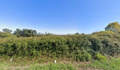 Angeli Nadia, Pressing à Valle-di-Campoloro